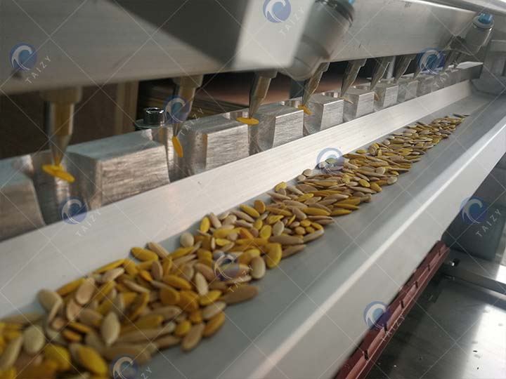 The Display Of The Seedling Machine's Suction Needle Sucking Melon Seeds
